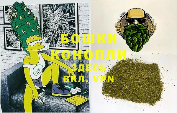 PSILOCYBIN Каменка