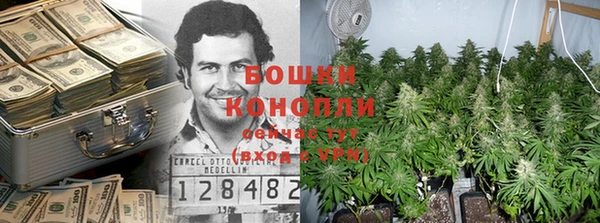 гидра Щучье