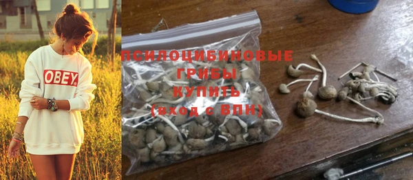 PSILOCYBIN Каменка