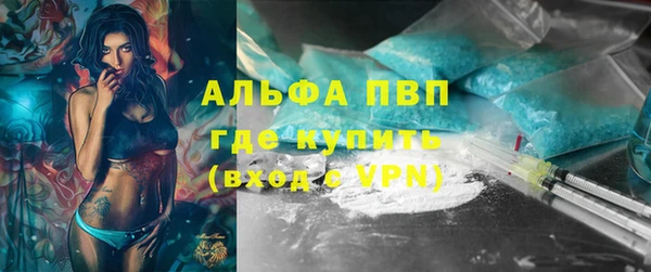 PSILOCYBIN Каменка