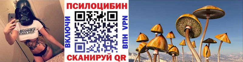Псилоцибиновые грибы Magic Shrooms  Купить  Лосино-Петровский 